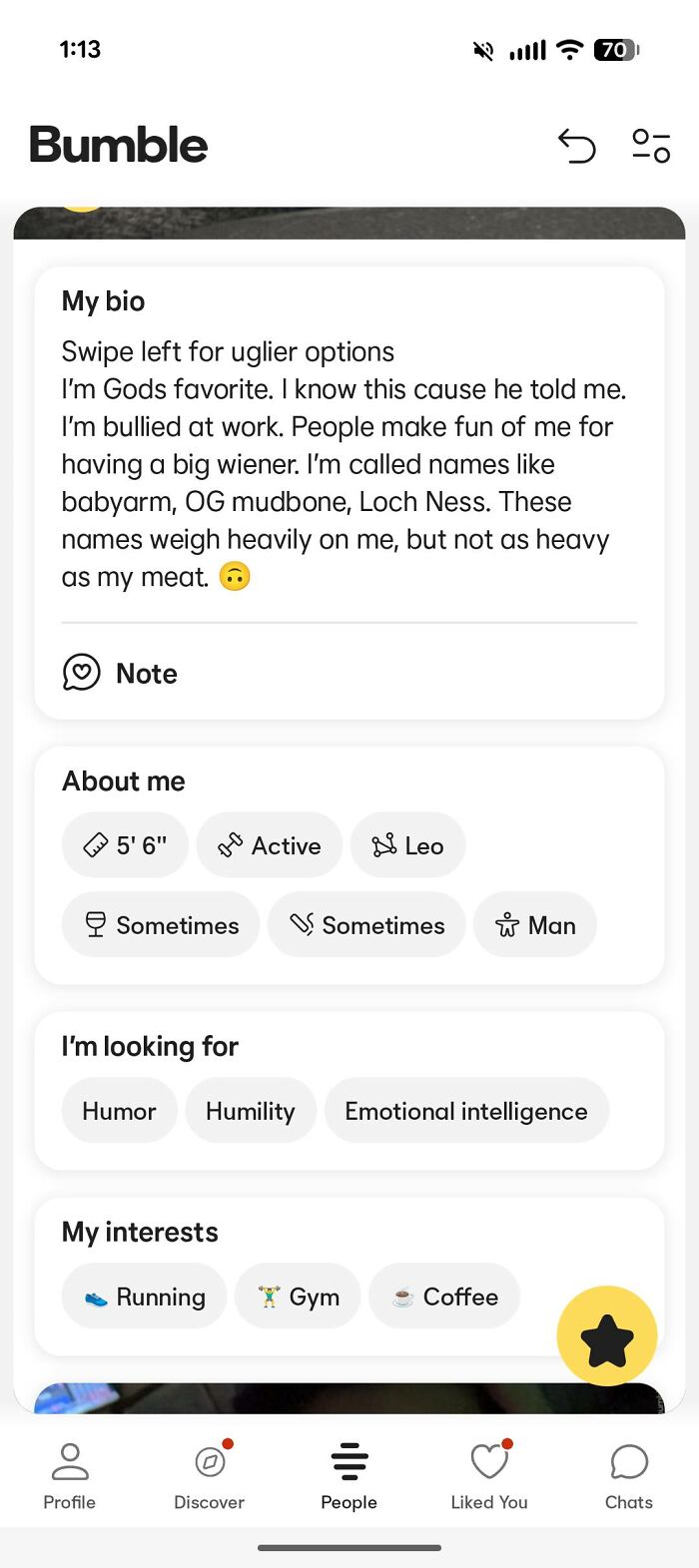 Bumble dating profile with unusual bio and interests