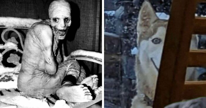 35 Internet Mysteries That Disturbed People For Years, But Have An Easier Explanation Than It Might Seem