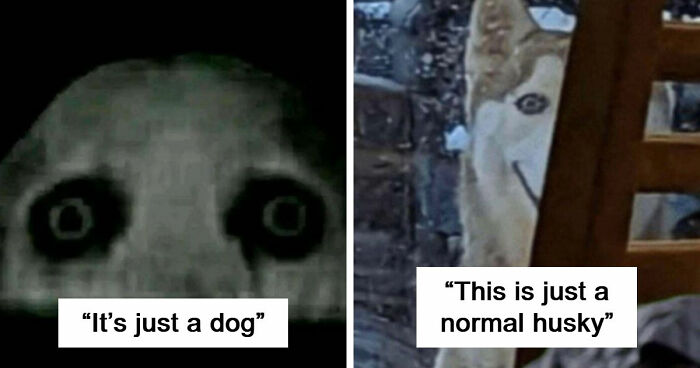 35 Internet Mysteries That Disturbed People For Years, But Have An Easier Explanation Than It Might Seem