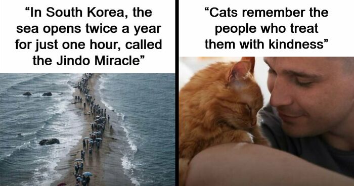 43 Surprising Random Facts You Didn’t Know You Wanted To Learn, As Shared On This Instagram Page