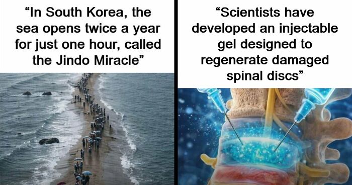 43 Surprising Random Facts You Didn’t Know You Wanted To Learn, As Shared On This Instagram Page
