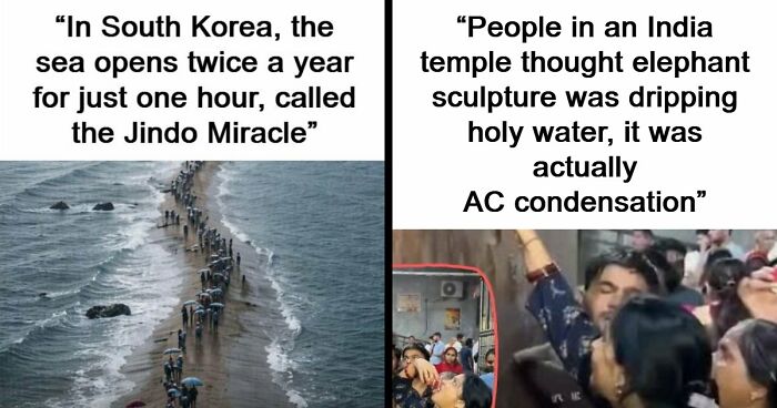 43 Surprising Random Facts You Didn’t Know You Wanted To Learn, As Shared On This Instagram Page