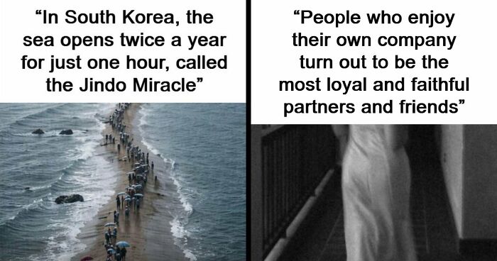 43 Surprising Random Facts You Didn’t Know You Wanted To Learn, As Shared On This Instagram Page