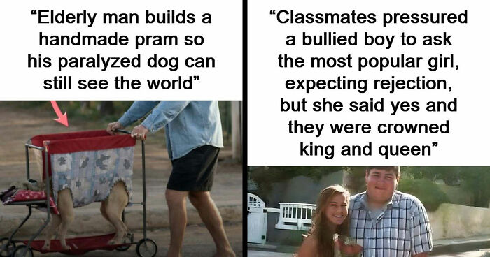 43 Surprising Random Facts You Didn’t Know You Wanted To Learn, As Shared On This Instagram Page