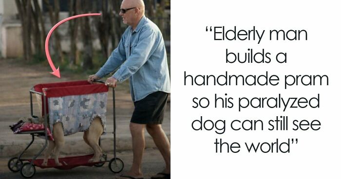 43 Surprising Random Facts You Didn’t Know You Wanted To Learn, As Shared On This Instagram Page