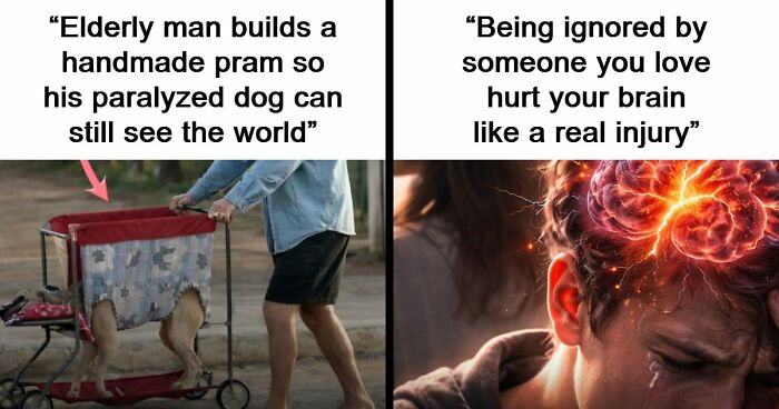43 Surprising Random Facts You Didn’t Know You Wanted To Learn, As Shared On This Instagram Page