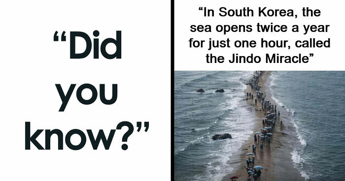 43 Surprising Random Facts You Didn’t Know You Wanted To Learn, As Shared On This Instagram Page