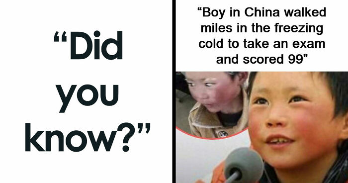 43 Surprising Random Facts You Didn’t Know You Wanted To Learn, As Shared On This Instagram Page