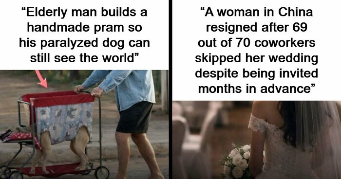 43 Surprising Random Facts You Didn’t Know You Wanted To Learn, As Shared On This Instagram Page