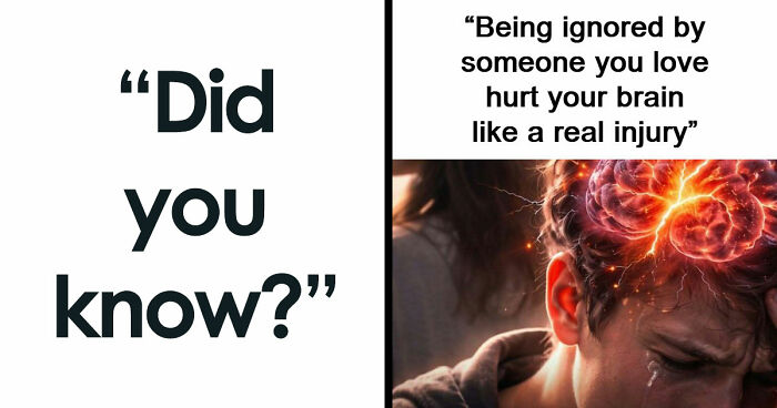 43 Surprising Random Facts You Didn’t Know You Wanted To Learn, As Shared On This Instagram Page