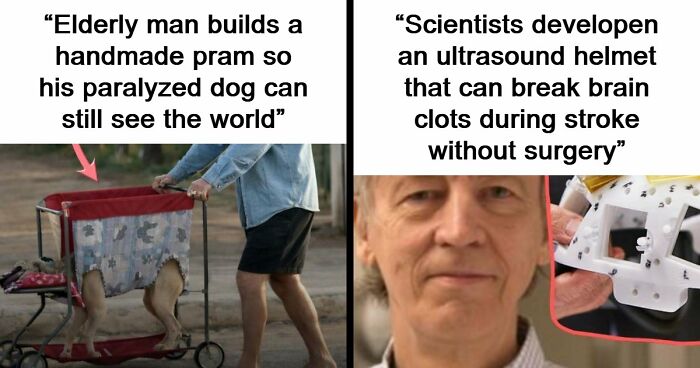 43 Surprising Random Facts You Didn’t Know You Wanted To Learn, As Shared On This Instagram Page