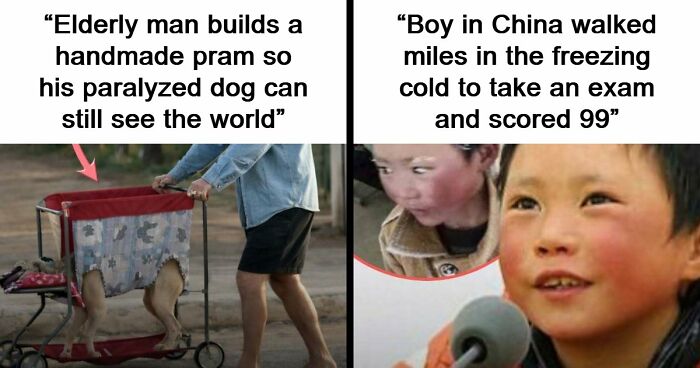 43 Surprising Random Facts You Didn’t Know You Wanted To Learn, As Shared On This Instagram Page