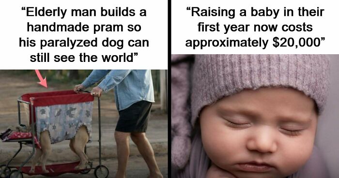 43 Surprising Random Facts You Didn’t Know You Wanted To Learn, As Shared On This Instagram Page
