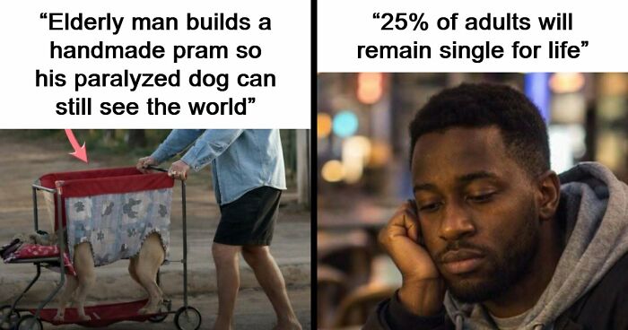 43 Surprising Random Facts You Didn’t Know You Wanted To Learn, As Shared On This Instagram Page