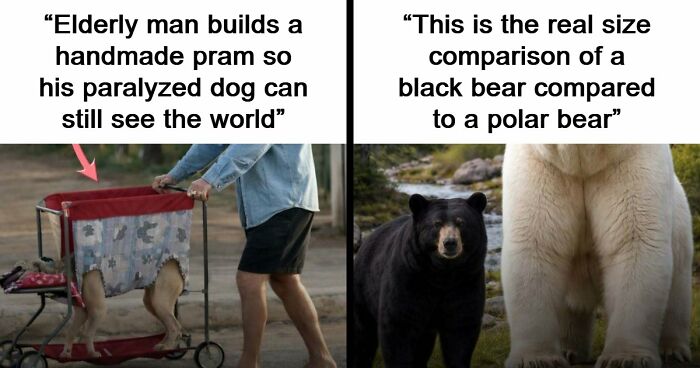 43 Surprising Random Facts You Didn’t Know You Wanted To Learn, As Shared On This Instagram Page