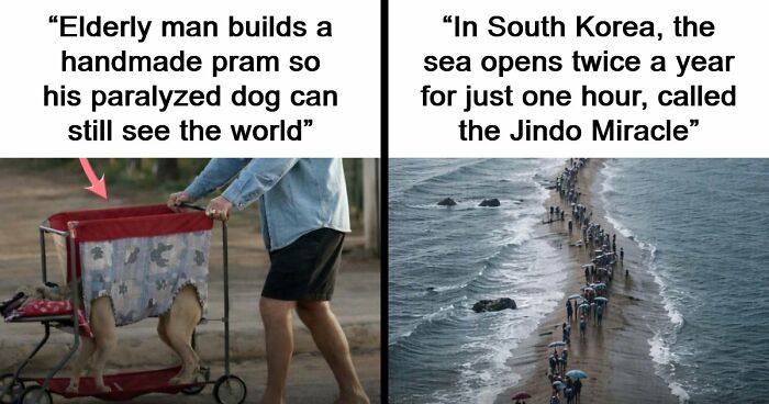 43 Surprising Random Facts You Didn’t Know You Wanted To Learn, As Shared On This Instagram Page
