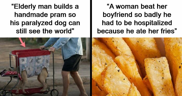 43 Surprising Random Facts You Didn’t Know You Wanted To Learn, As Shared On This Instagram Page