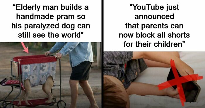 43 Surprising Random Facts You Didn’t Know You Wanted To Learn, As Shared On This Instagram Page