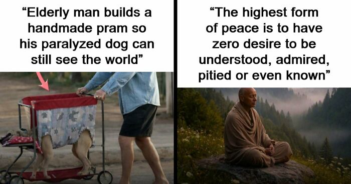 43 Surprising Random Facts You Didn’t Know You Wanted To Learn, As Shared On This Instagram Page