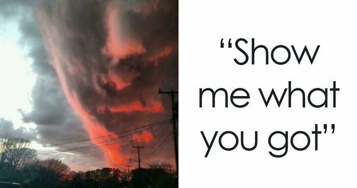 “Are You Seeing What I’m Seeing?”: 91 Unexpected Cases Of Pareidolia That Made People Do A Double Take