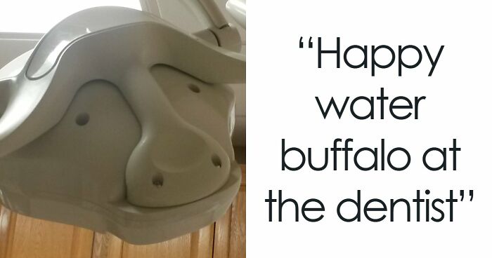 “Are You Seeing What I’m Seeing?”: 91 Unexpected Cases Of Pareidolia That Made People Do A Double Take