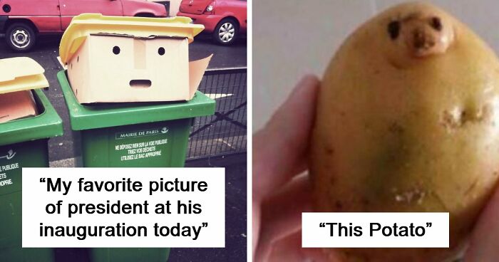 “Are You Seeing What I’m Seeing?”: 91 Unexpected Cases Of Pareidolia That Made People Do A Double Take