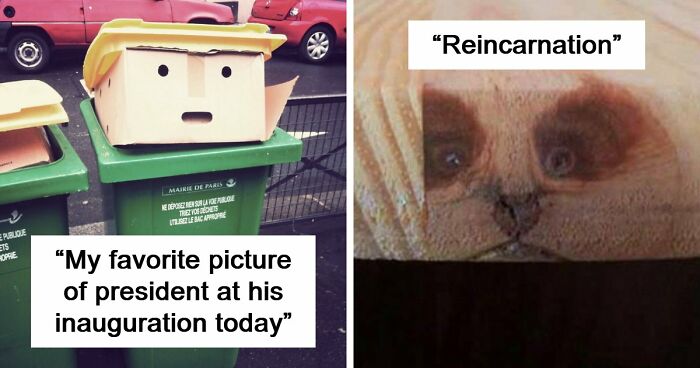 “Are You Seeing What I’m Seeing?”: 91 Unexpected Cases Of Pareidolia That Made People Do A Double Take