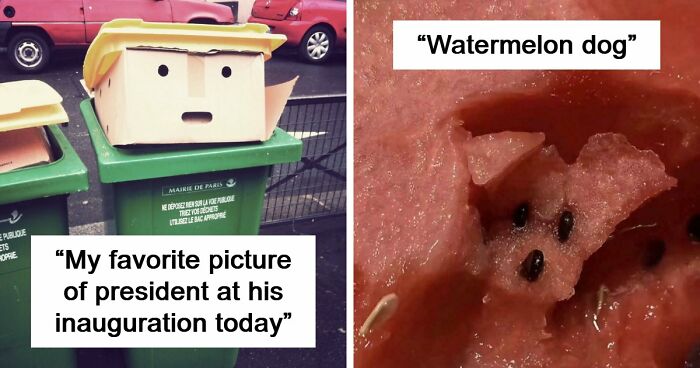 “Are You Seeing What I’m Seeing?”: 91 Unexpected Cases Of Pareidolia That Made People Do A Double Take