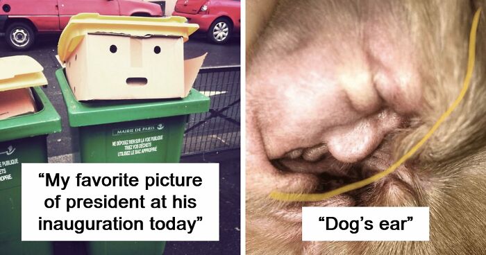 “Are You Seeing What I’m Seeing?”: 91 Unexpected Cases Of Pareidolia That Made People Do A Double Take
