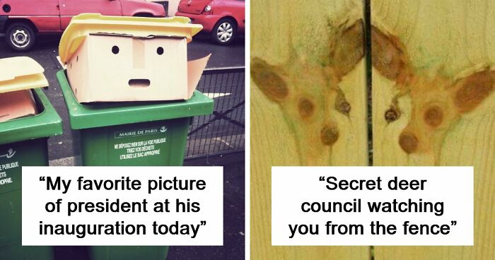 “Are You Seeing What I’m Seeing?”: 91 Unexpected Cases Of Pareidolia That Made People Do A Double Take