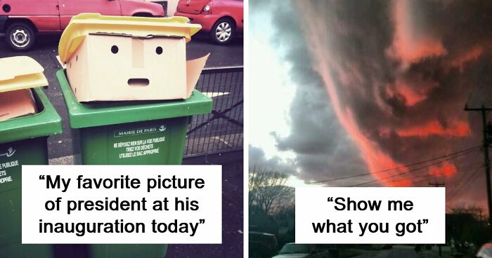 “Are You Seeing What I’m Seeing?”: 91 Unexpected Cases Of Pareidolia That Made People Do A Double Take