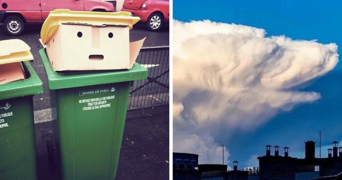“Are You Seeing What I’m Seeing?”: 91 Unexpected Cases Of Pareidolia That Made People Do A Double Take