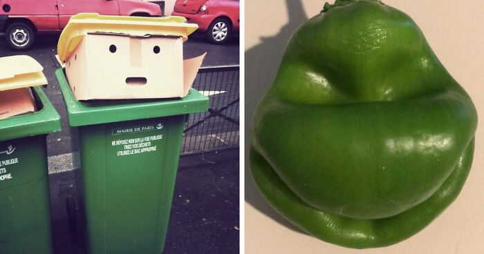 “Are You Seeing What I’m Seeing?”: 91 Unexpected Cases Of Pareidolia That Made People Do A Double Take