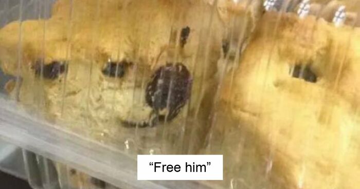 “Are You Seeing What I’m Seeing?”: 91 Unexpected Cases Of Pareidolia That Made People Do A Double Take