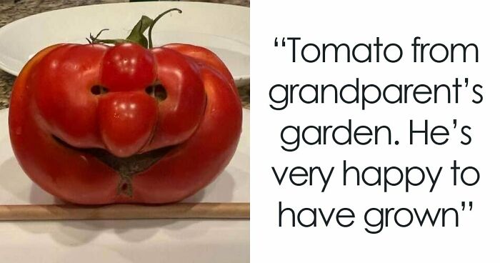 “Are You Seeing What I’m Seeing?”: 91 Unexpected Cases Of Pareidolia That Made People Do A Double Take