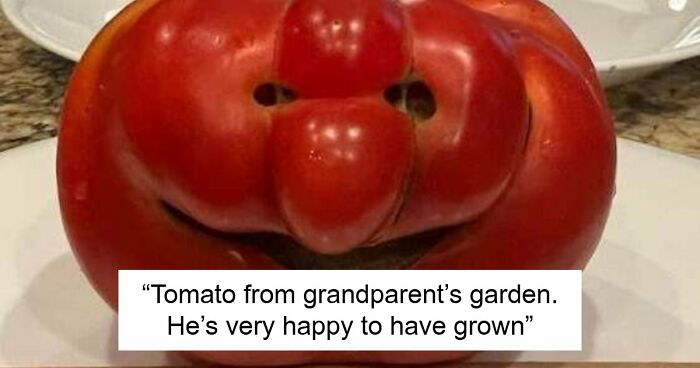 “Are You Seeing What I’m Seeing?”: 91 Unexpected Cases Of Pareidolia That Made People Do A Double Take