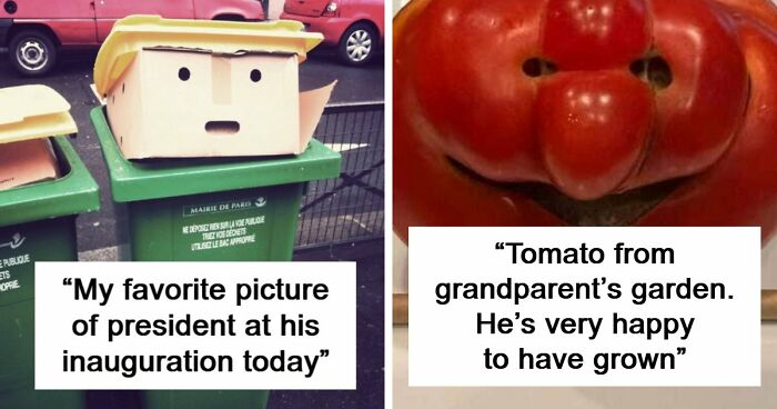 “Are You Seeing What I’m Seeing?”: 91 Unexpected Cases Of Pareidolia That Made People Do A Double Take