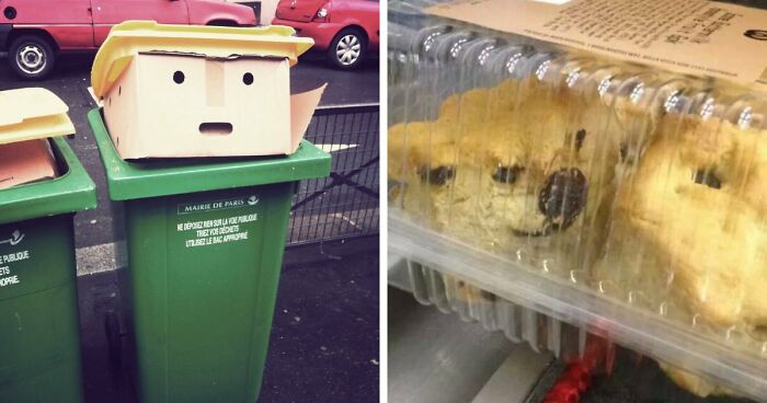 “Are You Seeing What I’m Seeing?”: 91 Unexpected Cases Of Pareidolia That Made People Do A Double Take