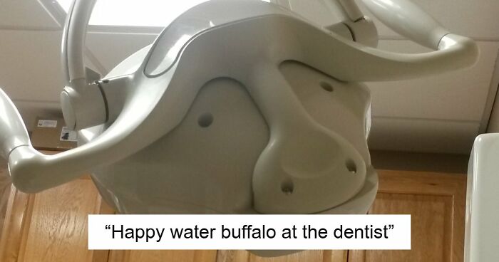 “Are You Seeing What I’m Seeing?”: 91 Unexpected Cases Of Pareidolia That Made People Do A Double Take