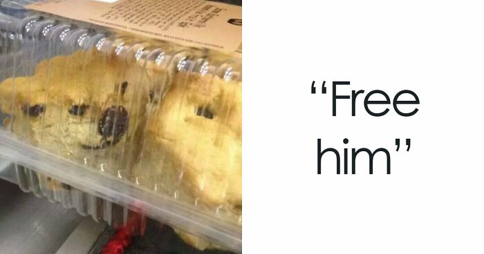 “Are You Seeing What I’m Seeing?”: 91 Unexpected Cases Of Pareidolia That Made People Do A Double Take
