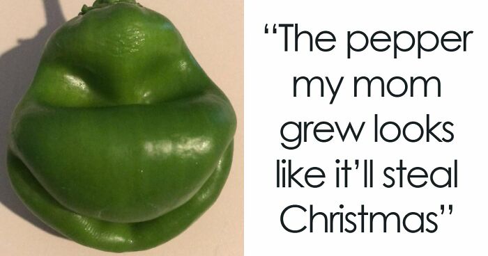 “Are You Seeing What I’m Seeing?”: 91 Unexpected Cases Of Pareidolia That Made People Do A Double Take