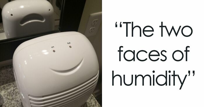 “Are You Seeing What I’m Seeing?”: 91 Unexpected Cases Of Pareidolia That Made People Do A Double Take