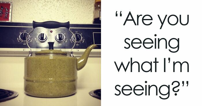 “Are You Seeing What I’m Seeing?”: 91 Unexpected Cases Of Pareidolia That Made People Do A Double Take