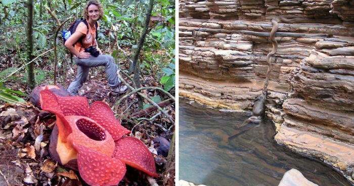 “Nature Is Weird”: 42 Interesting Pics And Facts About Mother Nature