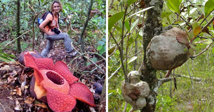 “Nature Is Weird”: 42 Interesting Pics And Facts About Mother Nature