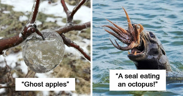 “Nature Is Weird”: 42 Interesting Pics And Facts About Mother Nature