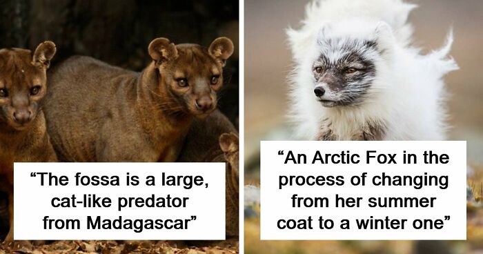 “Nature Is Weird”: 42 Interesting Pics And Facts About Mother Nature