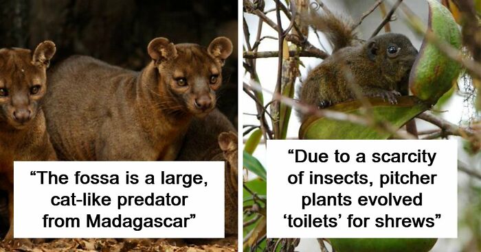 “Nature Is Weird”: 42 Interesting Pics And Facts About Mother Nature