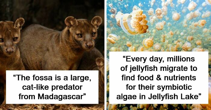 “Nature Is Weird”: 42 Interesting Pics And Facts About Mother Nature