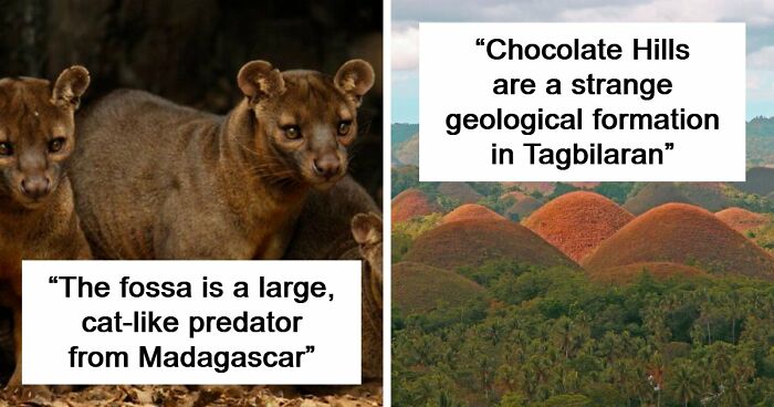 “Nature Is Weird”: 42 Interesting Pics And Facts About Mother Nature